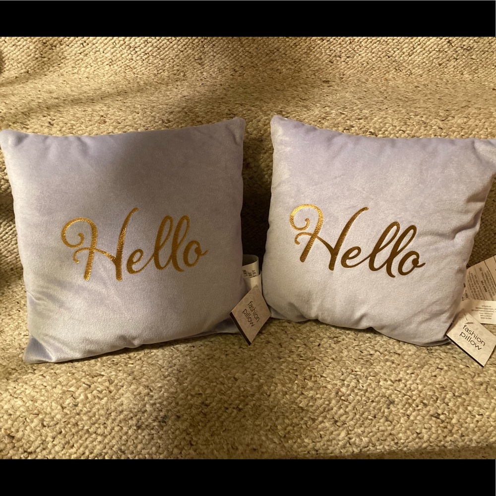 Fashion Pillows in Grey Velour with Gold Lettering